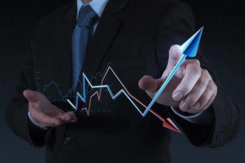 拓商之道 拼多多運(yùn)營(yíng)實(shí)戰(zhàn)攻略，告別“沒(méi)流量”困境的站內(nèi)推廣秘笈